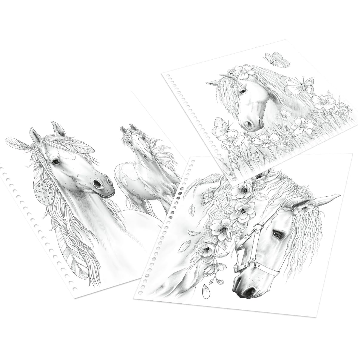 Depesche 12469 Miss Melody Special Colouring Book with 20 Dream Horses Designs for Colouring with Pencils or Freshwater Paint, Multi-Colour