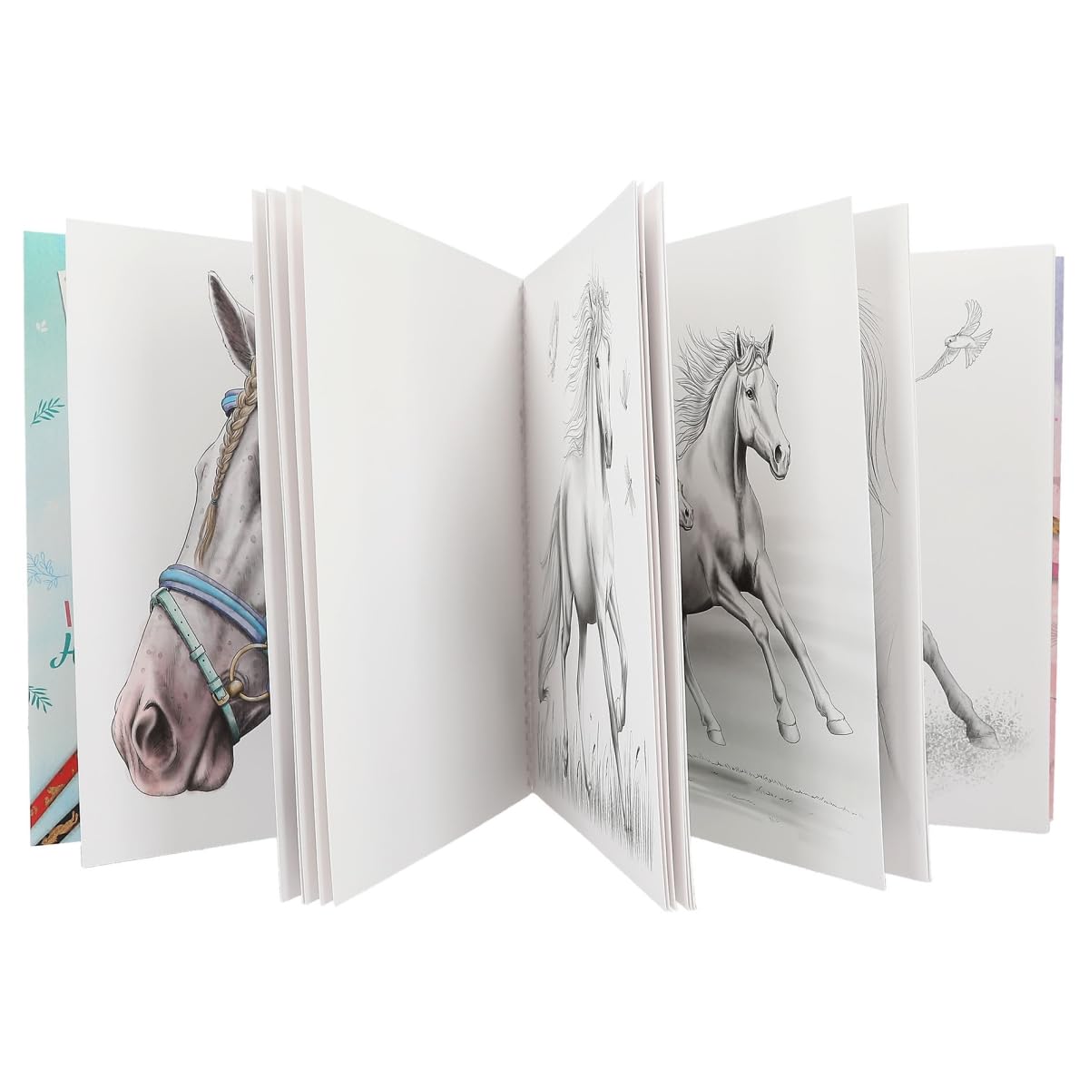 Depesche 12469 Miss Melody Special Colouring Book with 20 Dream Horses Designs for Colouring with Pencils or Freshwater Paint, Multi-Colour