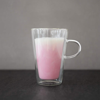 Bodum Canteen Double Wall Glass Set, Mouth Blown Borosilicate Glass - 0.4 L, Pack of 2